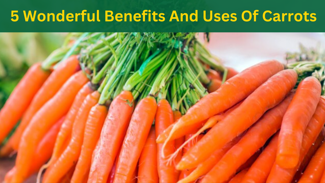 5 Wonderful Benefits and Uses Of Carrots