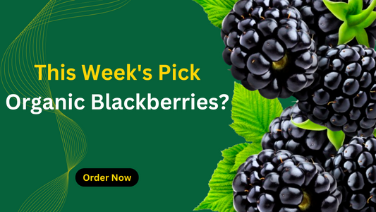 This Week's Pick Organic Blackberries?