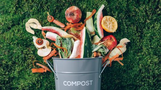 4 tips to reduce food waste