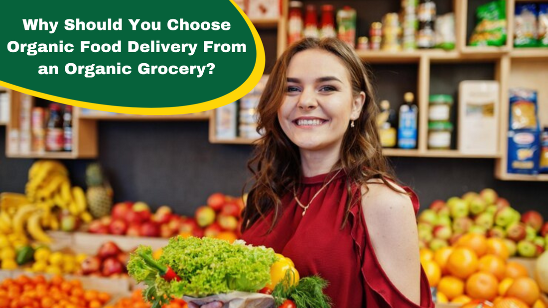 Why Should You Choose Organic Food Delivery From an Organic Grocery?