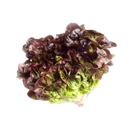 Red Oak Lettuce - Organic each