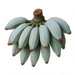 Bananas, Blue Java 300g