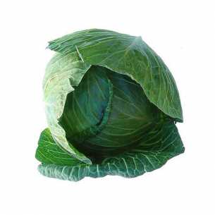 Green Cabbage Whole each