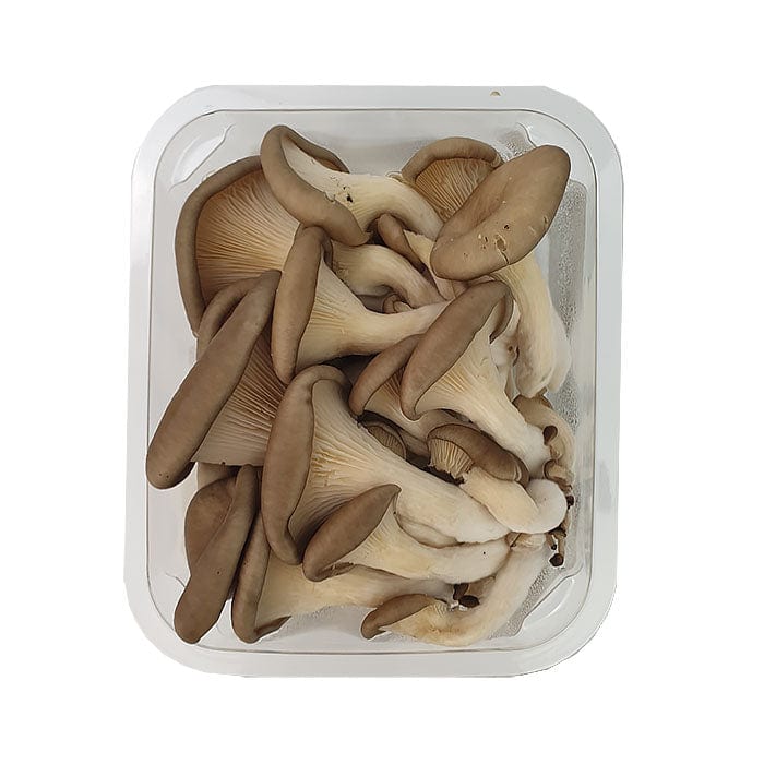 Mushrooms, Oyster Punnet