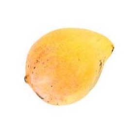 Kensington Pride Mangoes Medium each