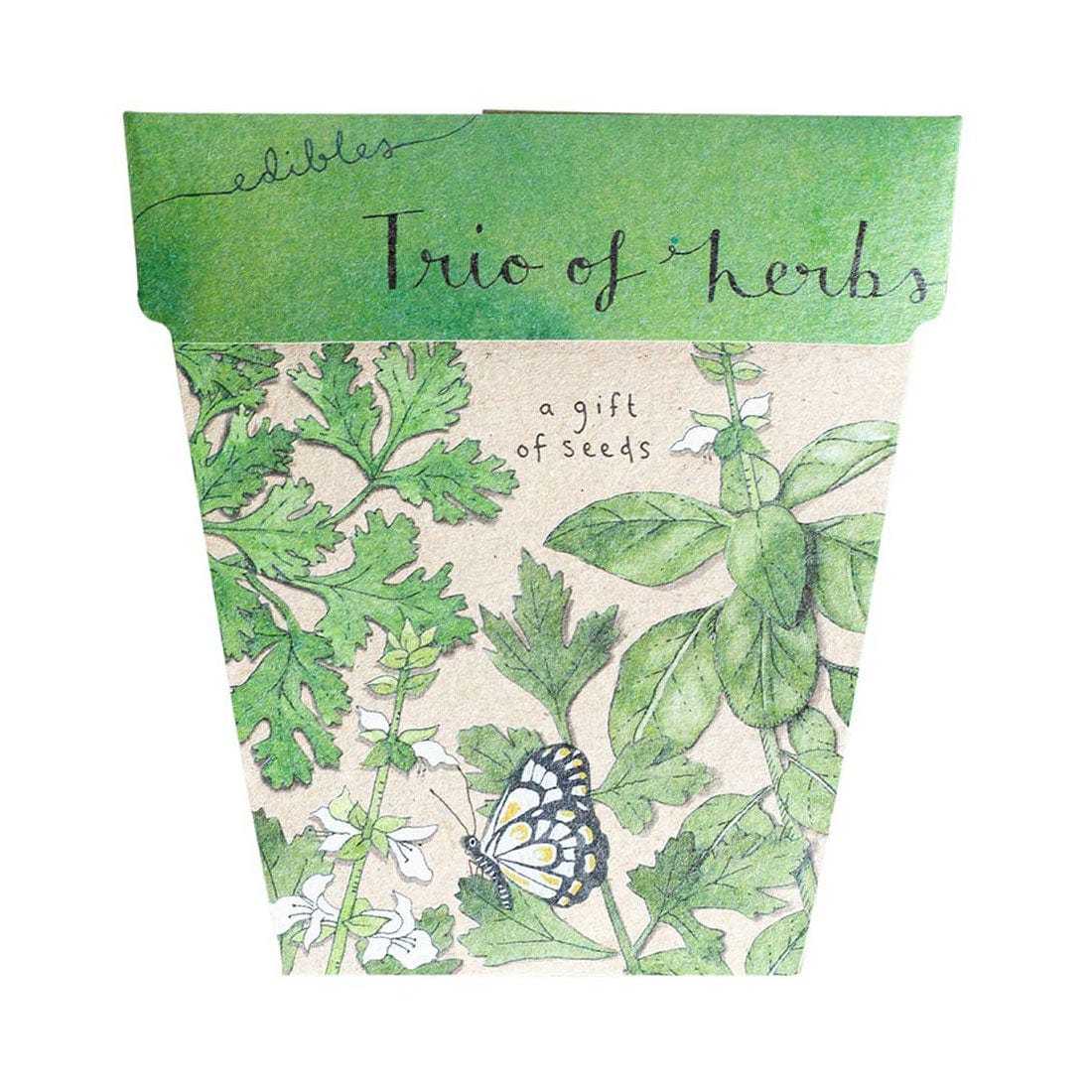 Sow 'n Sow Trio of Herbs Seeds 1 packet