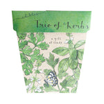 Sow 'n Sow Trio of Herbs Seeds 1 packet